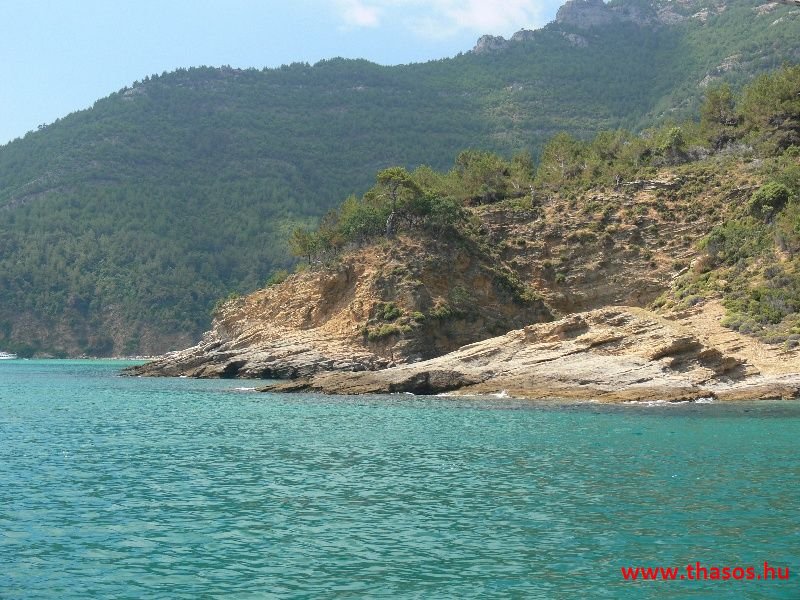 balazsh 2011